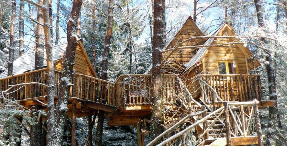 Nids Des Vosges Acomodação com café da manhã Champdray Exterior foto
